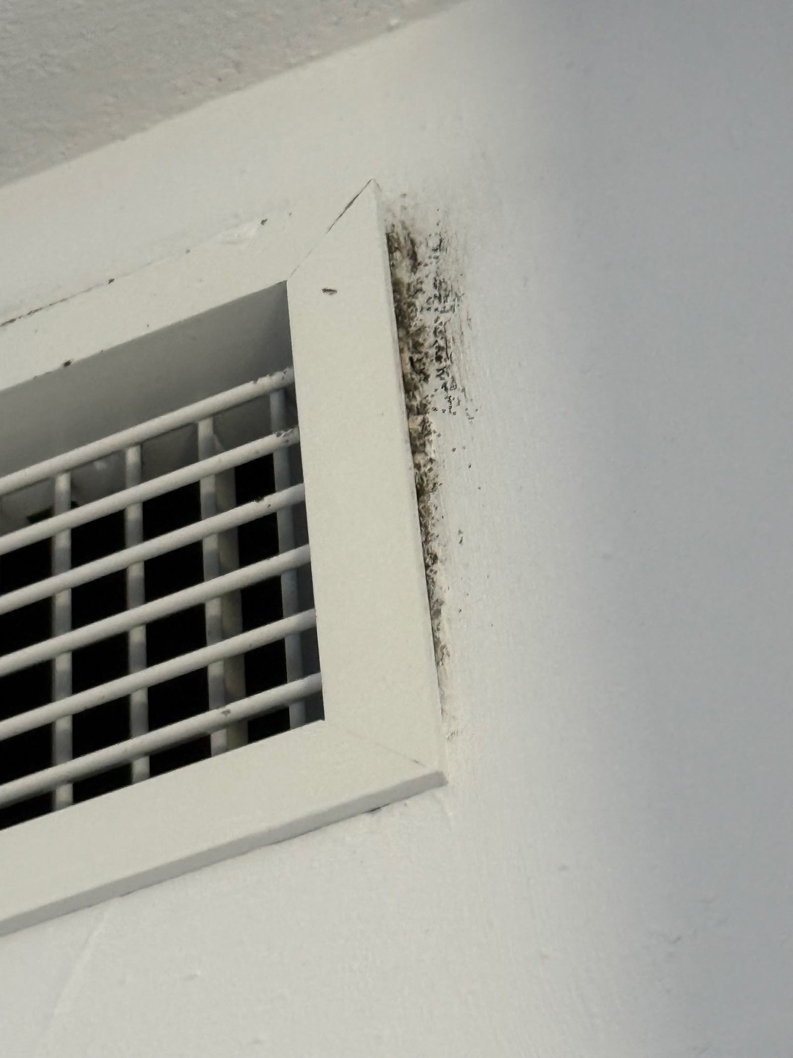 Macchie scure vicino alla griglia di ventilazione della camera assegnata.