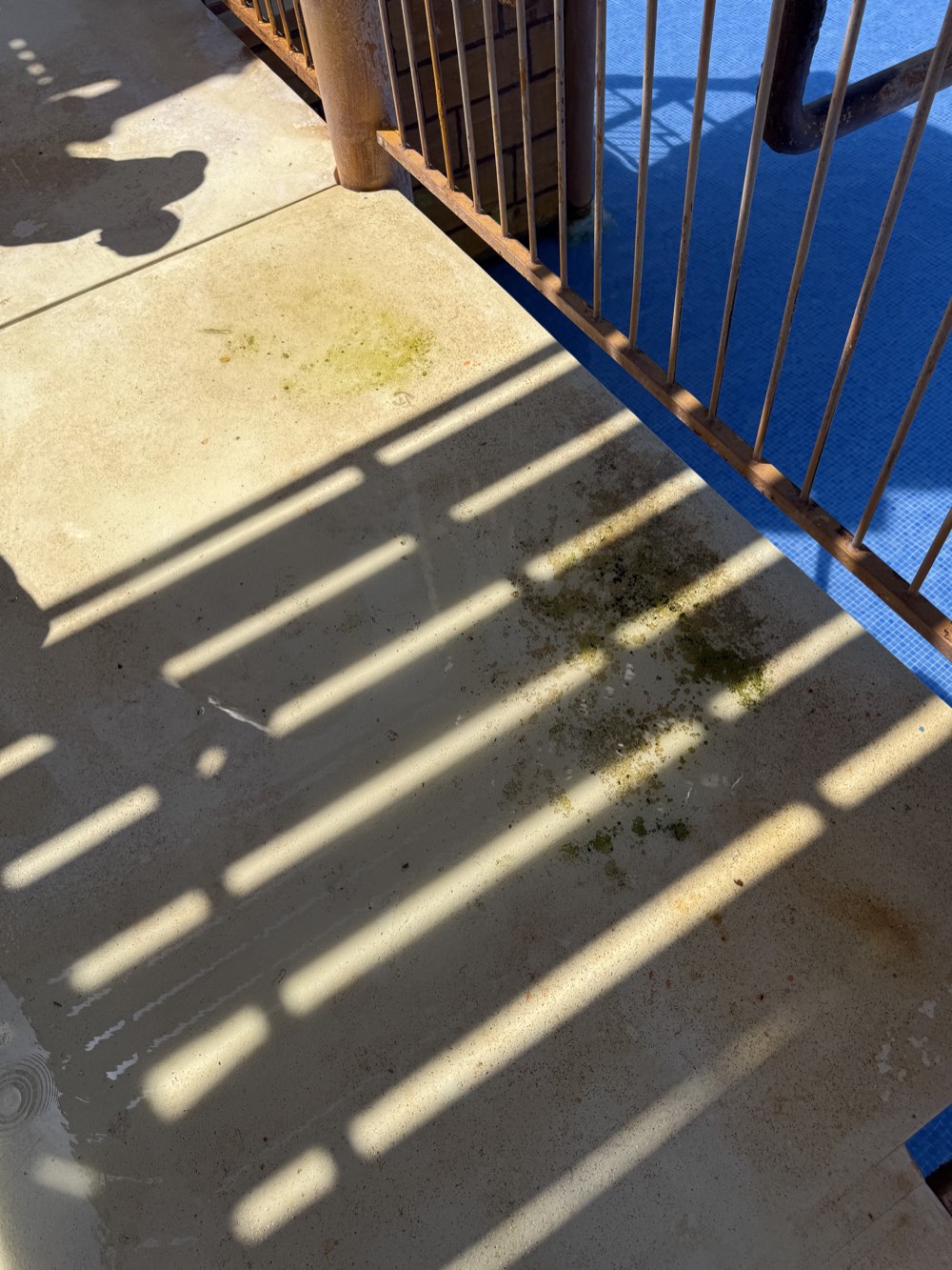 Green and dark staining visible on the platform surface beside the railings.